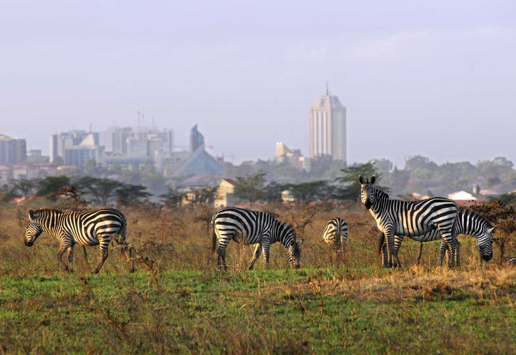 Wildlife close to the city center of Nairobi
