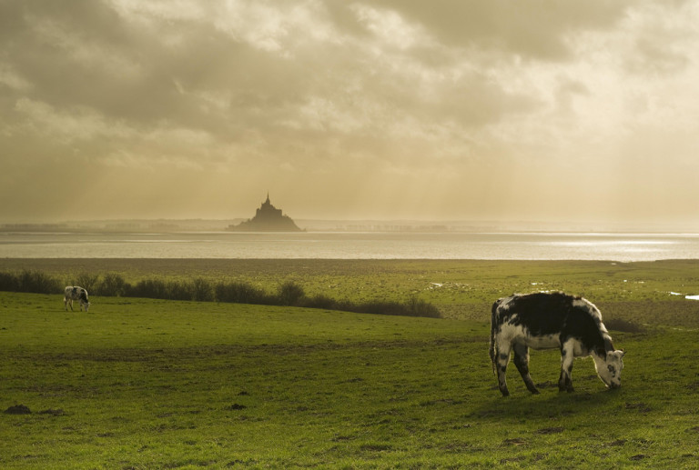 View of Mont st. Michel