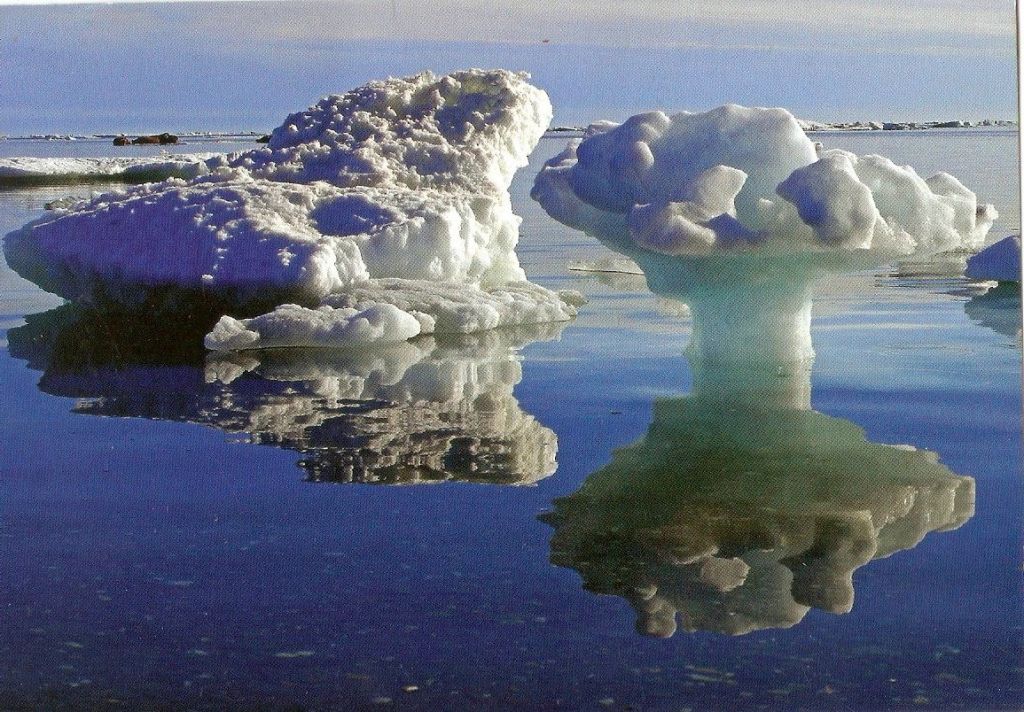 Wrangel Island was home for the last mammoth population