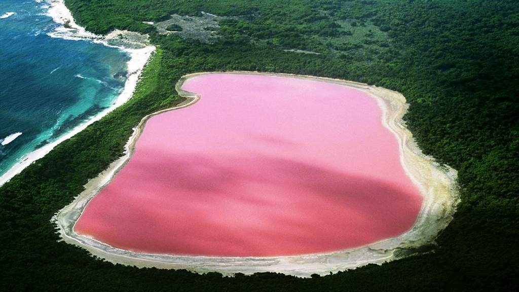 The natural bizarre pink Lake Hillier in Western Australia