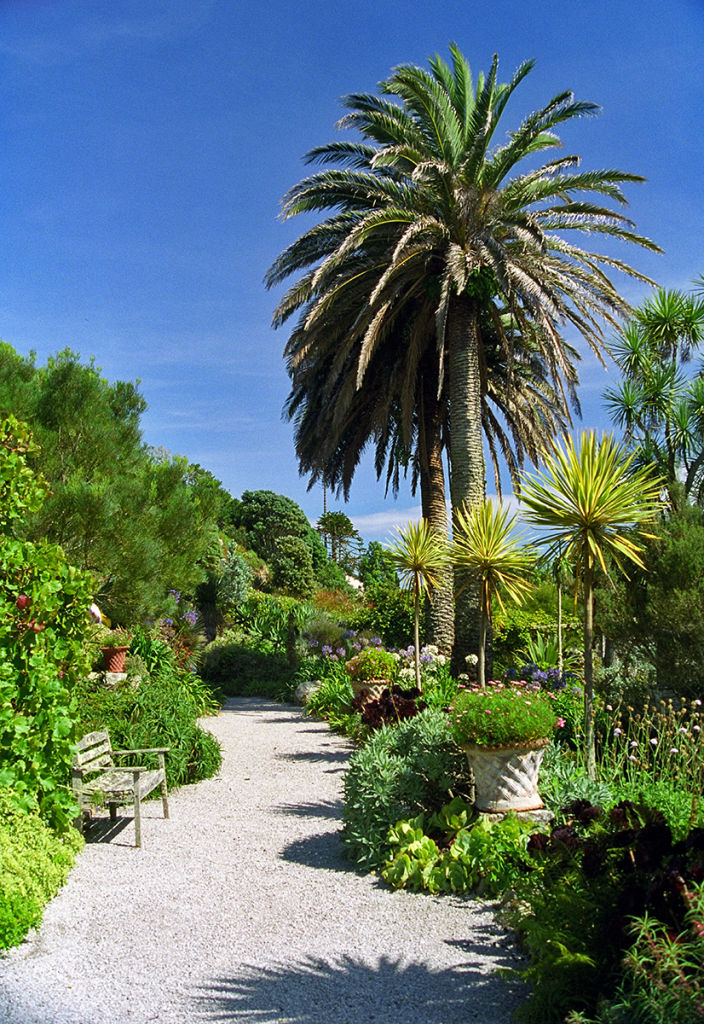 Subtropical garden, Isles of Scilly