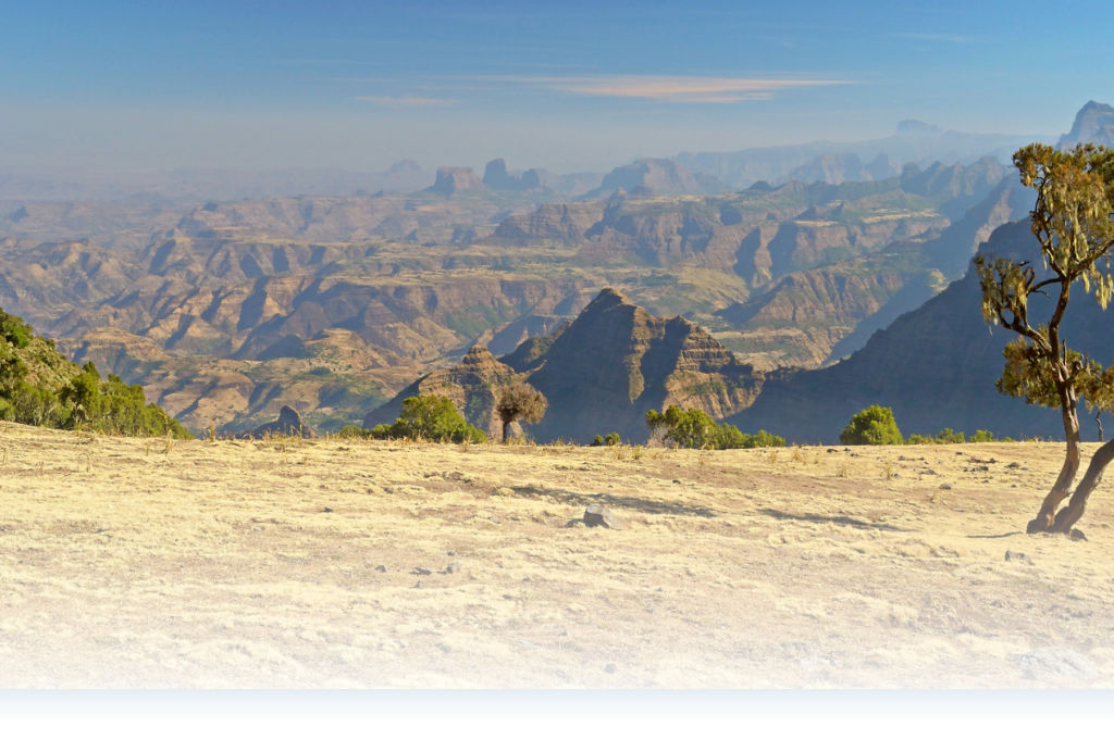 The Ethiopian Highland is also called 