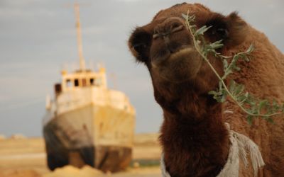 ghost ship aral sea