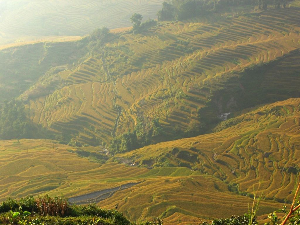 China Rice Terraces