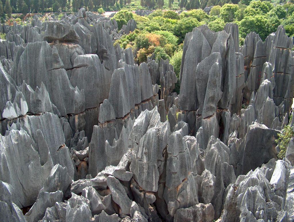 Tall rocks stone forest