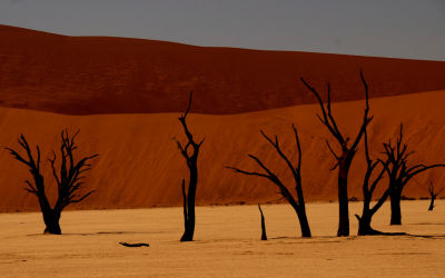Namib Naukluft National Park